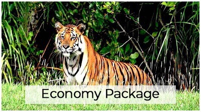 Sunderban Tour Packages
