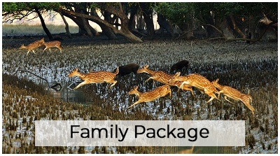 Sunderban family tour packages