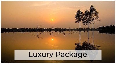 Tour Packages